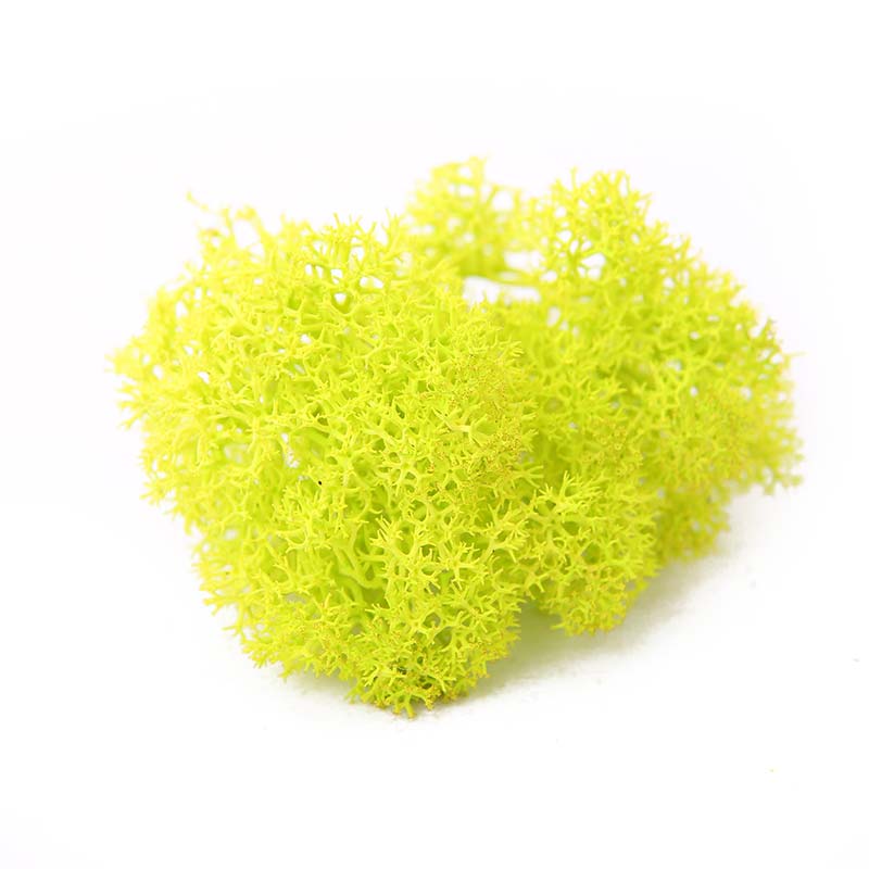 Limettenfarbender Schallabsorber Rentiermoos